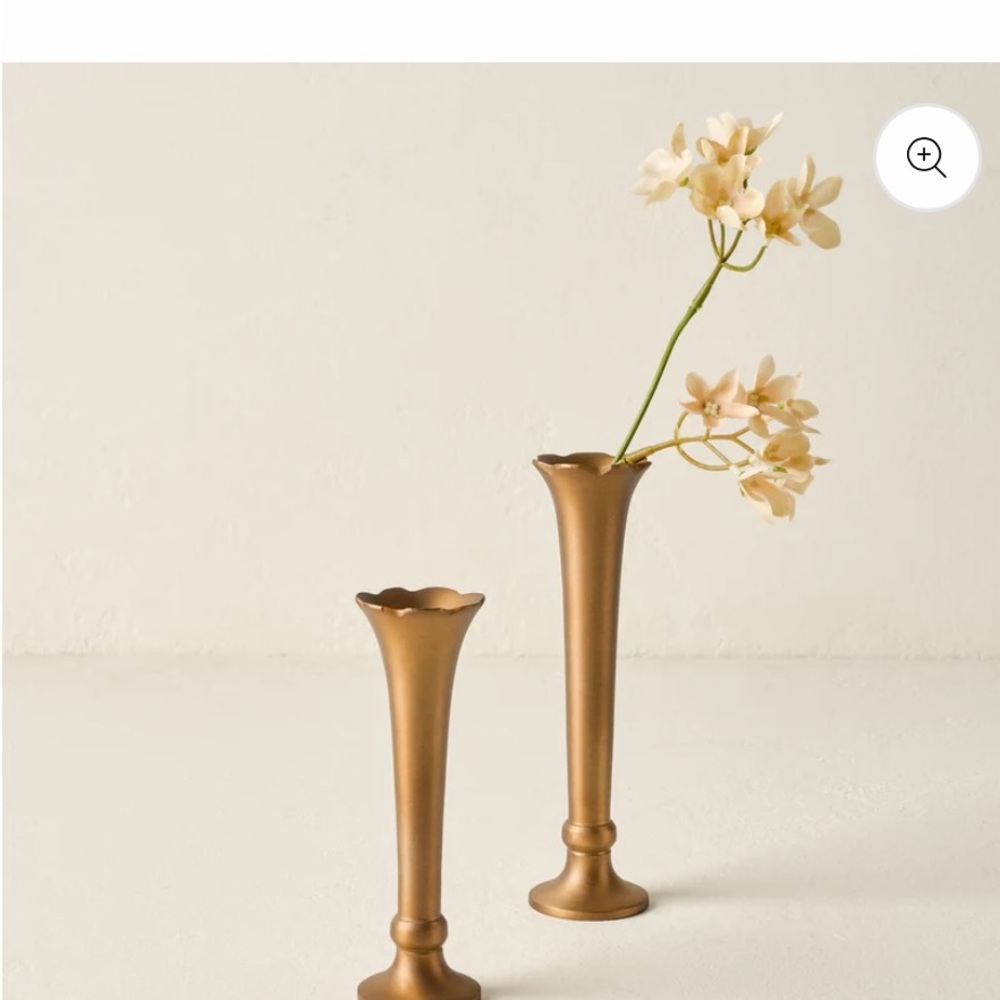 Magnolia Scalloped Vases